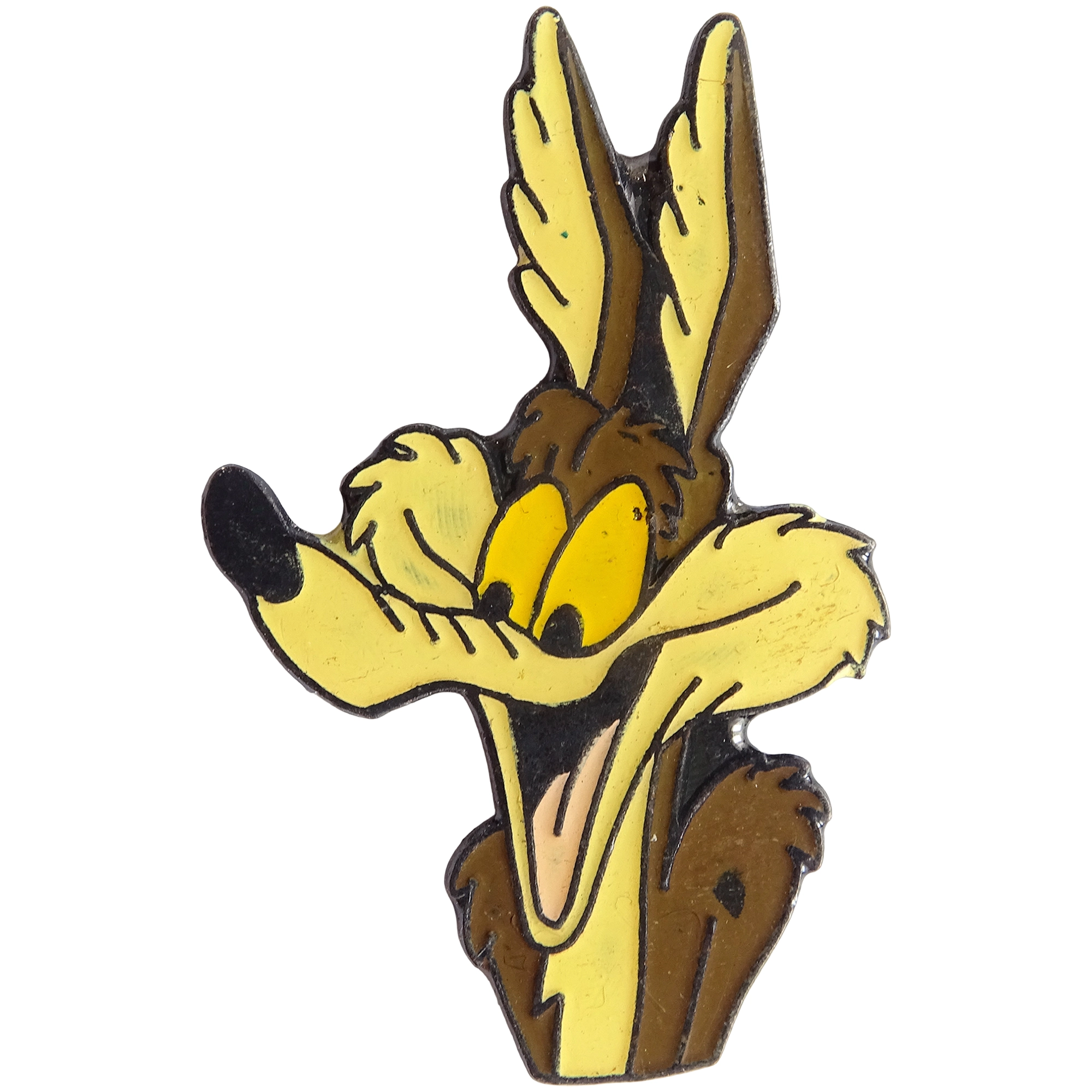 Coyote